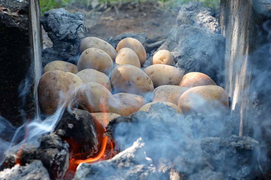 ali, embers, blind, cob, barbecue, picnic, smoke, potato, january HD wallpaper