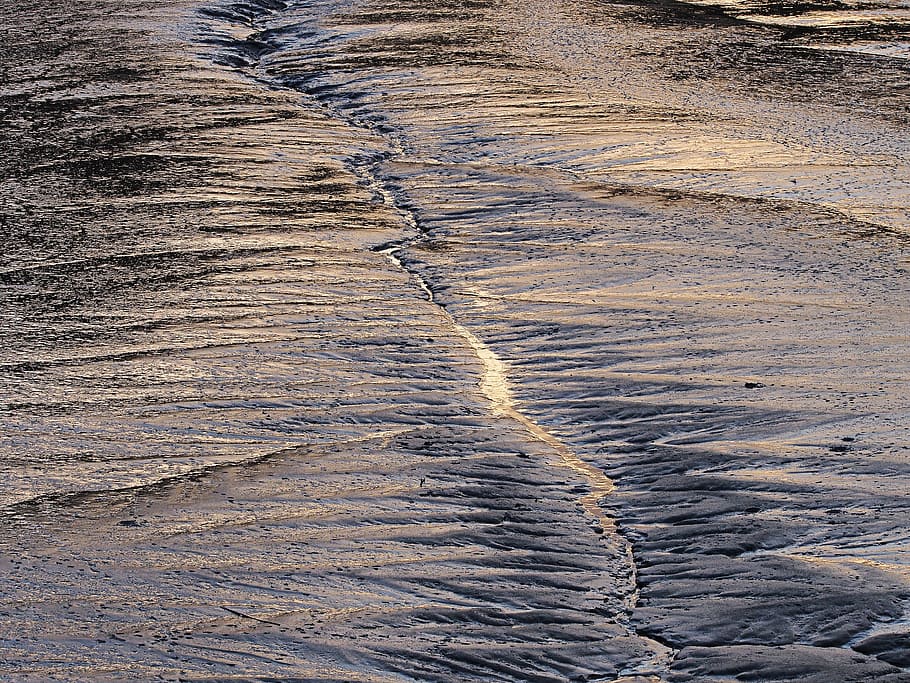 mud, low, tide, estuary, sea, beach, ooze, brown, brackish HD wallpaper