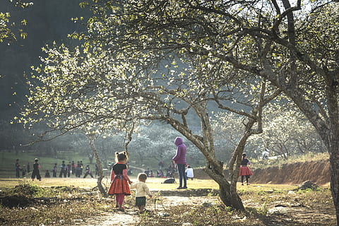 people walking on grass field surrounded by trees during daytime HD wallpaper
