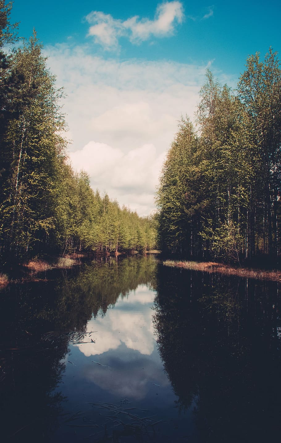 river in between in trees under cloudy sky, photo, green, near HD wallpaper