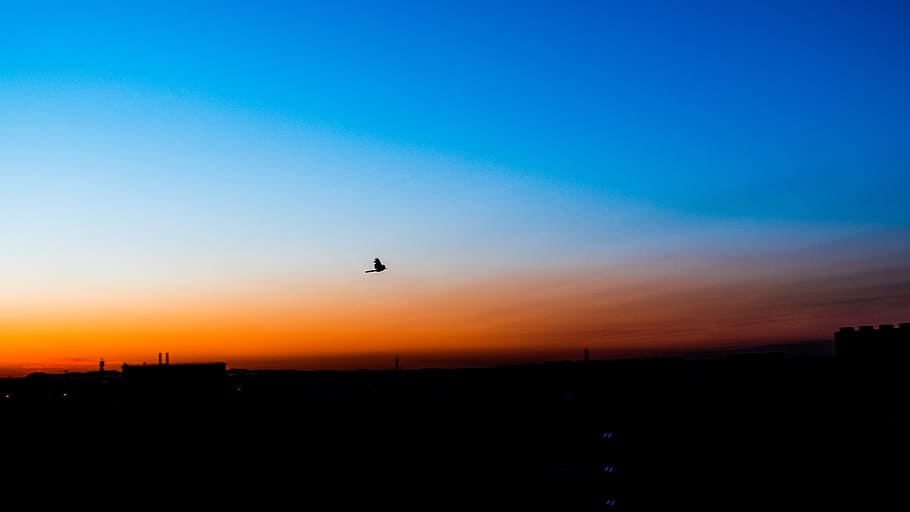 blue, orange, silhouette, chenguang, the morning sun, sky, sunset, HD wallpaper