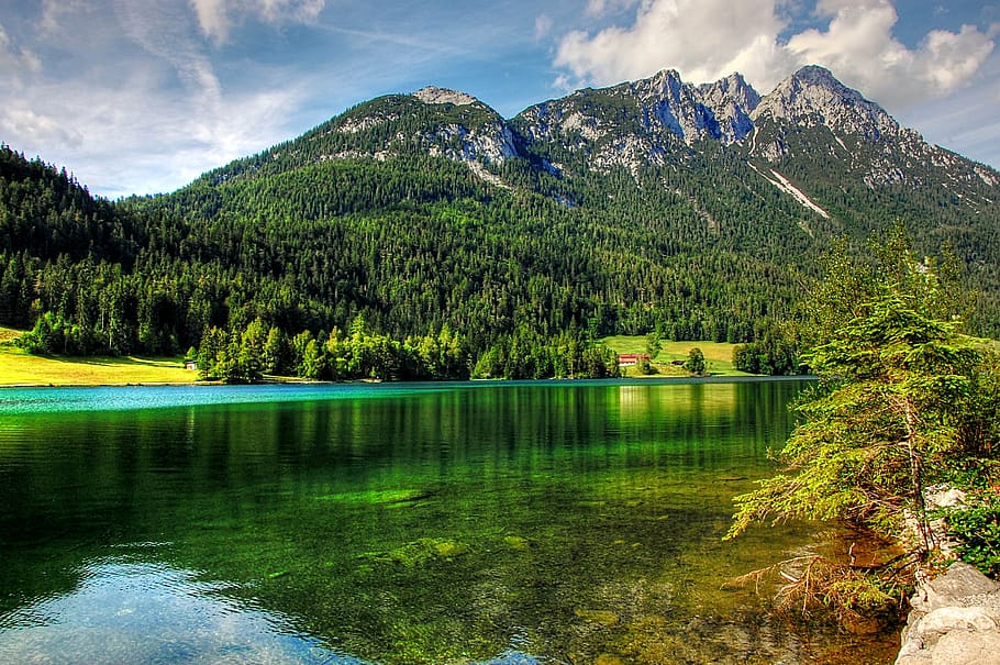 body of water near green forest, hintersteiner lake, landscape, HD wallpaper