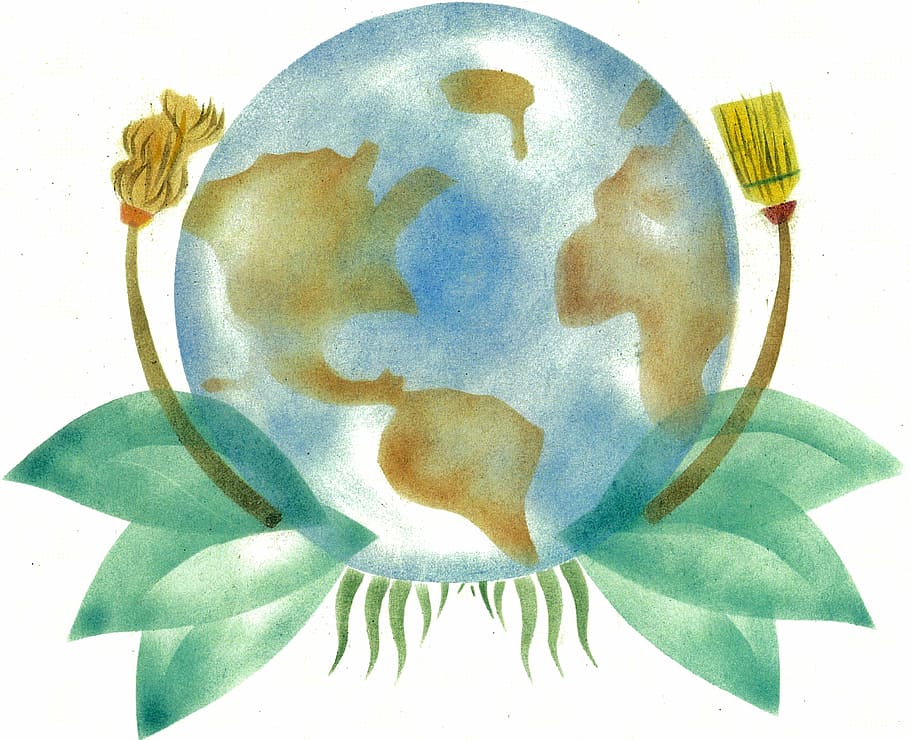 round blue ball with green leaf illustration, world, map, earth HD wallpaper