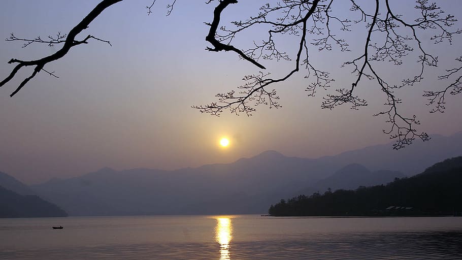 sunset horizon, branches, mystic, light, wood, lights, mood HD wallpaper