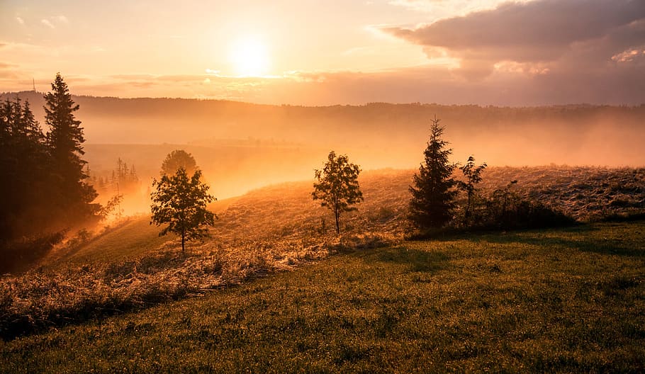 clouds, sky, sunset, sunrise, sunlight, nature, trees, highland HD wallpaper