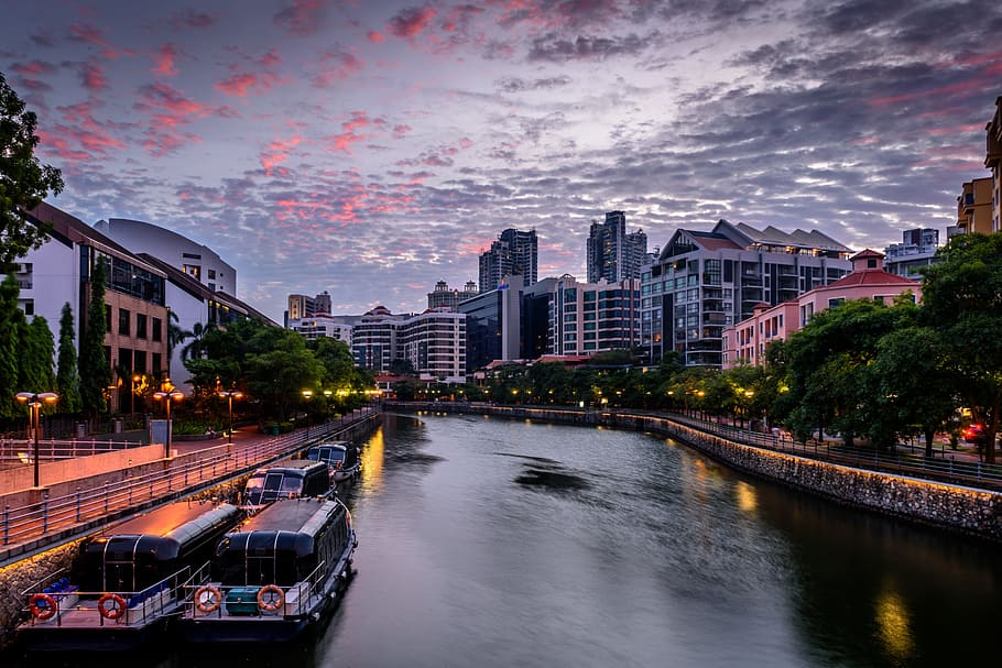 clouds, sky, canal, boat, lights, sunset, sunrise, trees, plant HD wallpaper