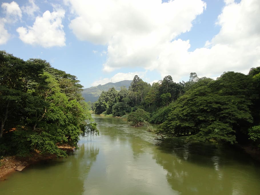 River, Clouds, Landscape, sky, green, sri lanka, peradeniya HD wallpaper