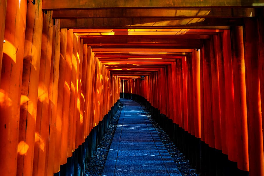 orange wooden tunnel, pathway underneath tori gates, bridge, direction HD wallpaper