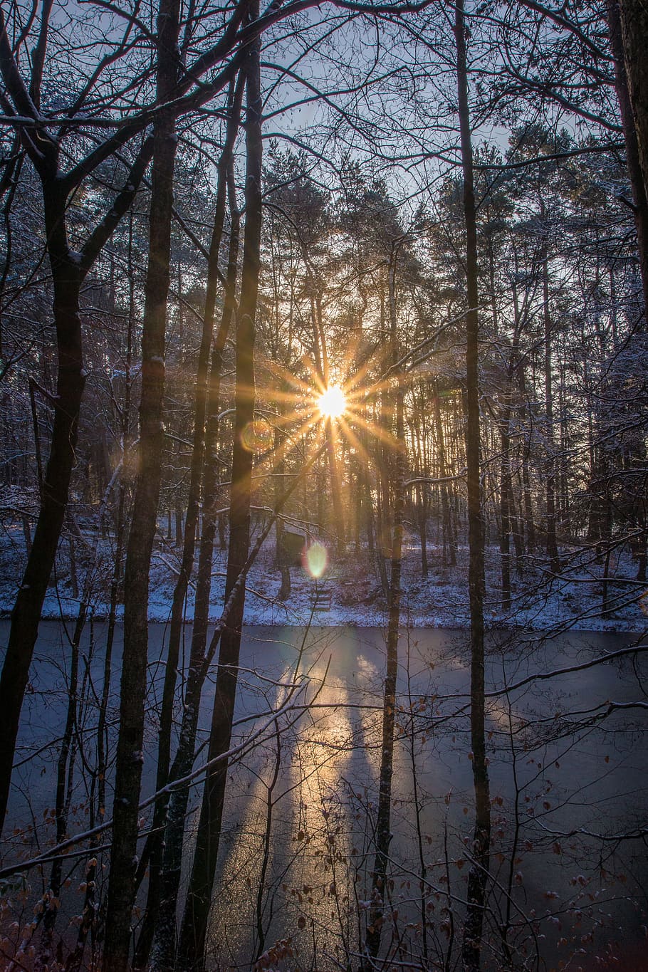 sun, reflection, water, mirroring, cold, winter, bank, ice HD wallpaper