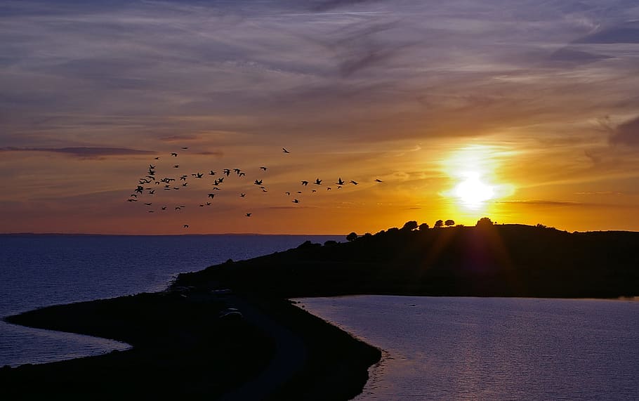 Sunset, Denmark, Baltic Sea, Sea, Coast, water, nature, landscape, HD wallpaper