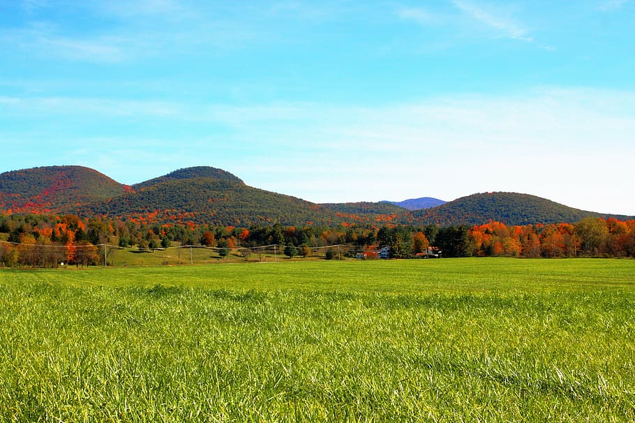 fall, mountain, grass, autumn, scenic, plant, landscape, environment HD wallpaper