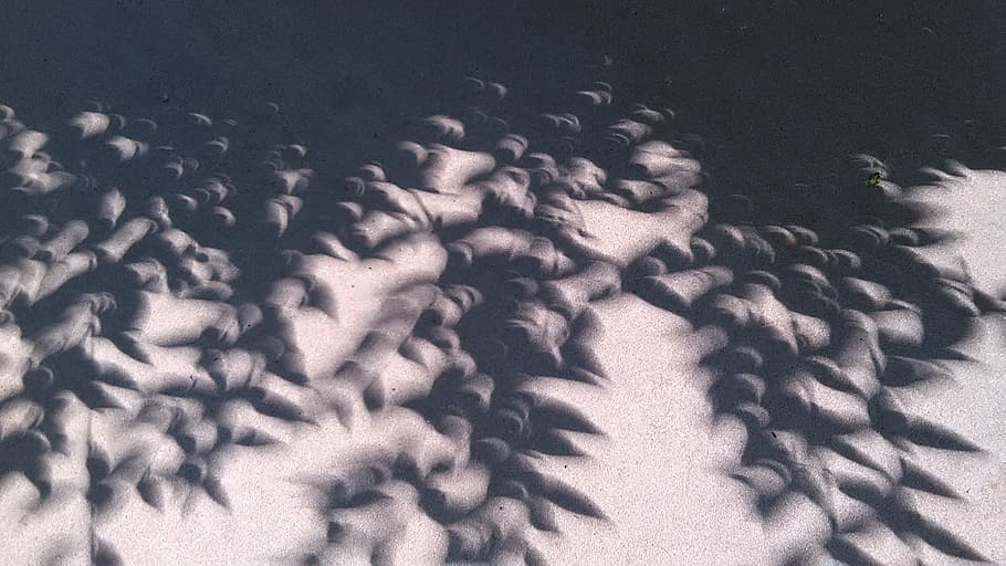 Eclipse Shadows, shadow, black and white, abstract, shape, eclipse HD wallpaper