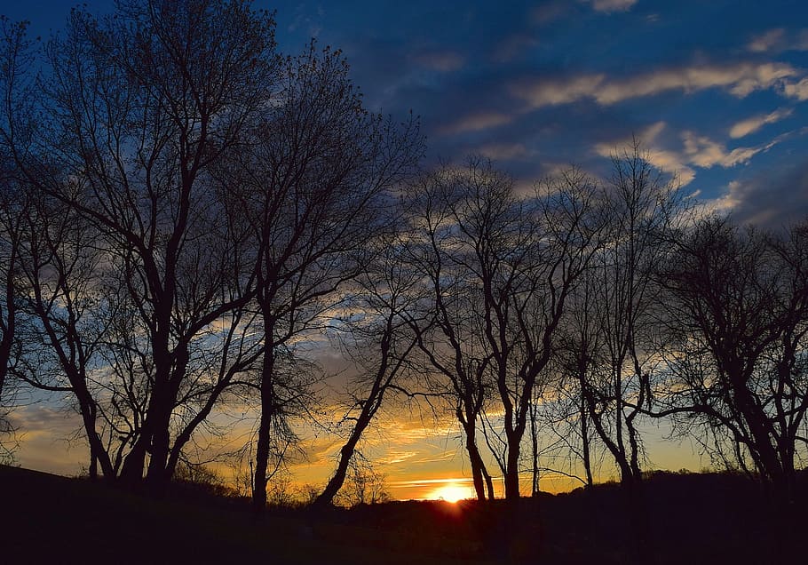 sunrise, silhouette, trees, sky, clouds, blue, outdoor, sunlight HD wallpaper