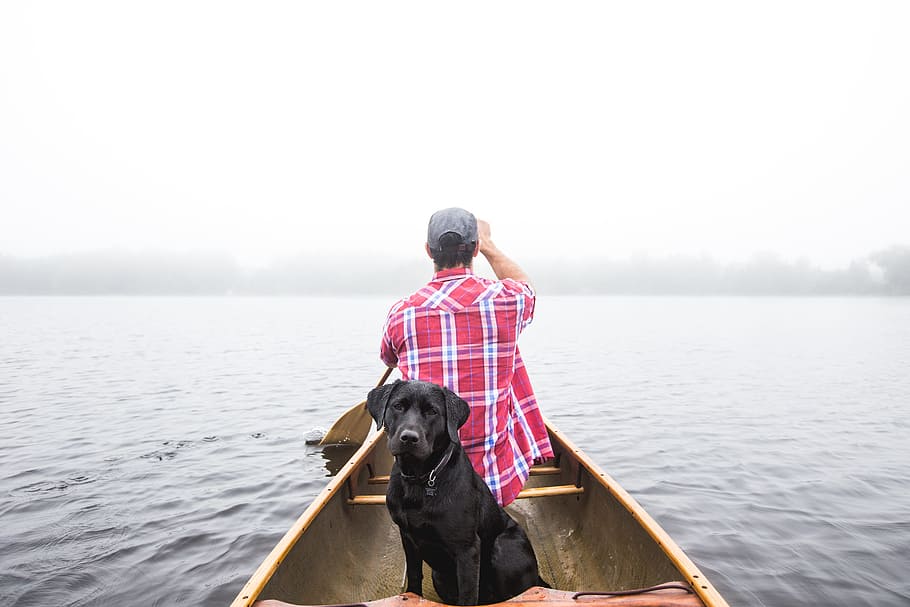 man sailing boat on body of water, man with black Labrador retriever on brown canoe