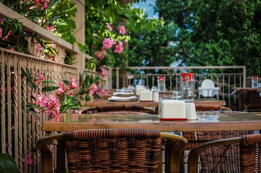pink petaled flower near table at daytime, restaurant, hotel HD wallpaper