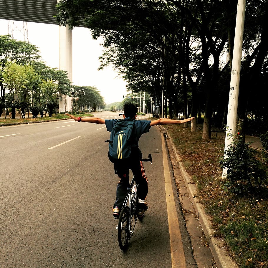 riding, university city, the outer ring, transportation, tree HD wallpaper