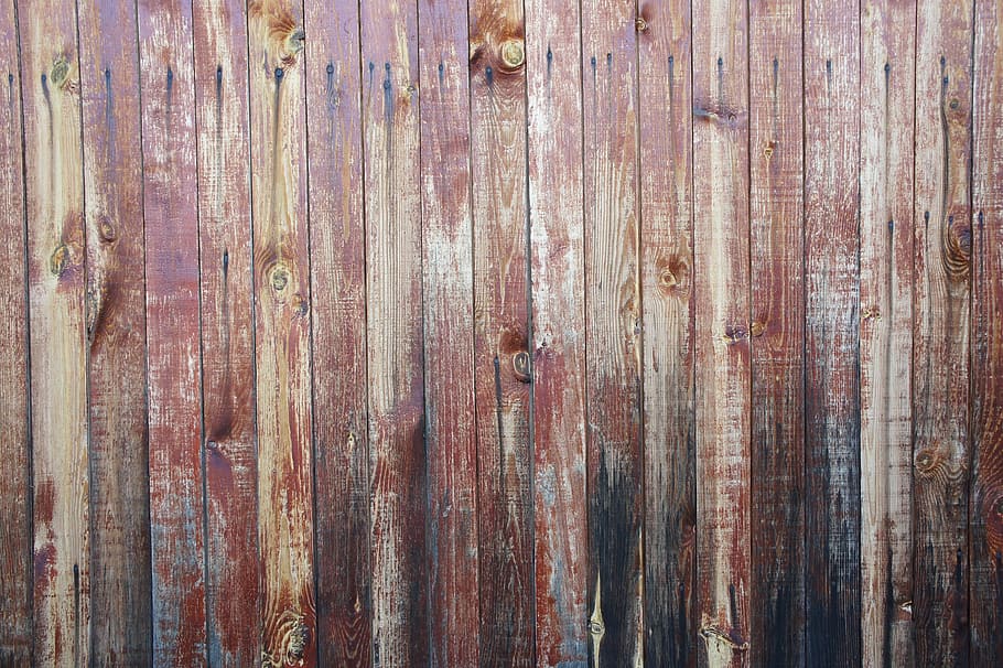Tree, Texture, Wood, Boards, wood texture, brown, backgrounds HD wallpaper