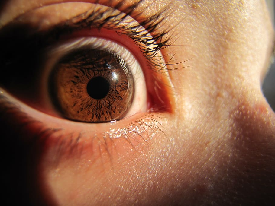 eye, macro, szupermakró, iris, watch, eyelash, skin, human body part HD wallpaper