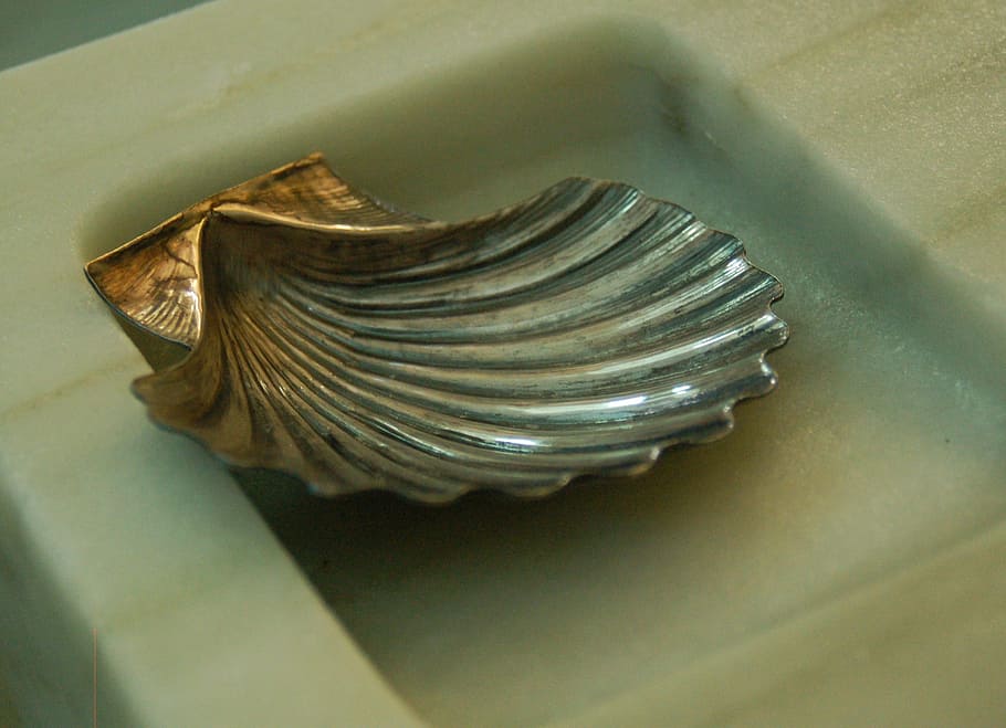 font, christening, shell, close-up, no people, indoors, single object HD wallpaper