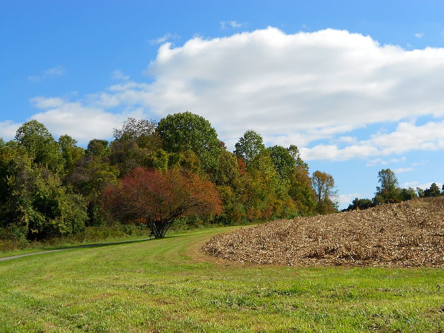 Pennsylvania, Landscape, Clouds, sky, fall, autumn, field, grass HD wallpaper
