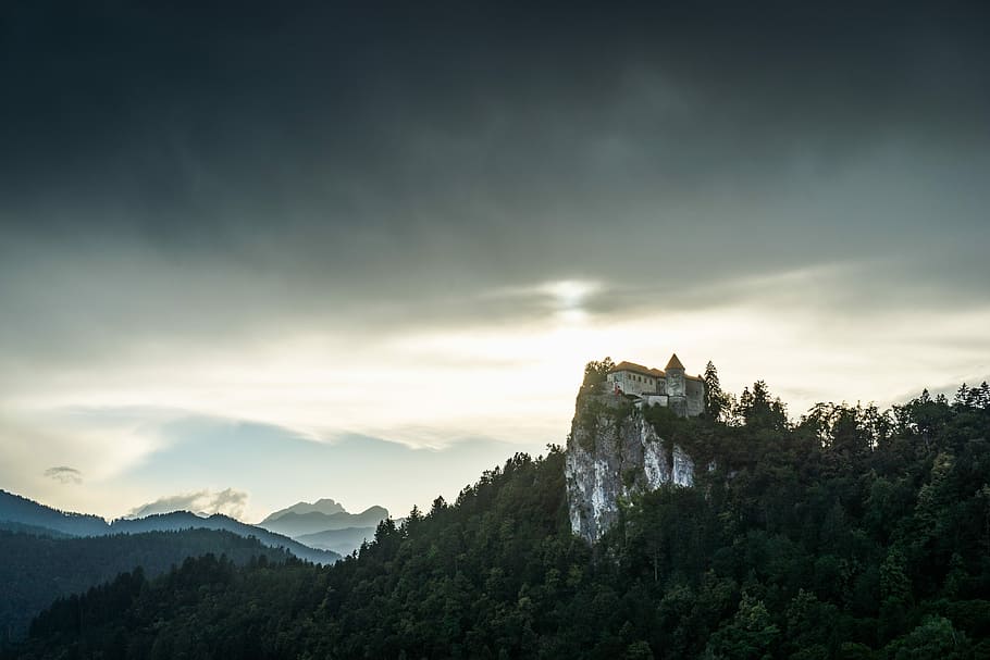 white castle on mountain peak, rock, cliff, tree, woodland HD wallpaper