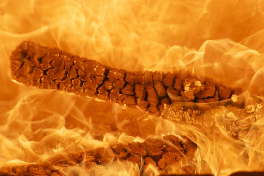 Fire, Wood, Fire, Flame, Burn, Brand, wood fire, no people HD wallpaper