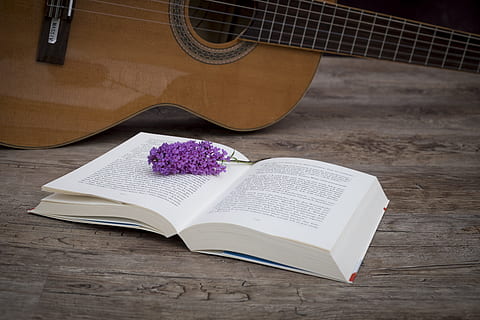 open book page beside brown guitar, education, pages, read HD wallpaper
