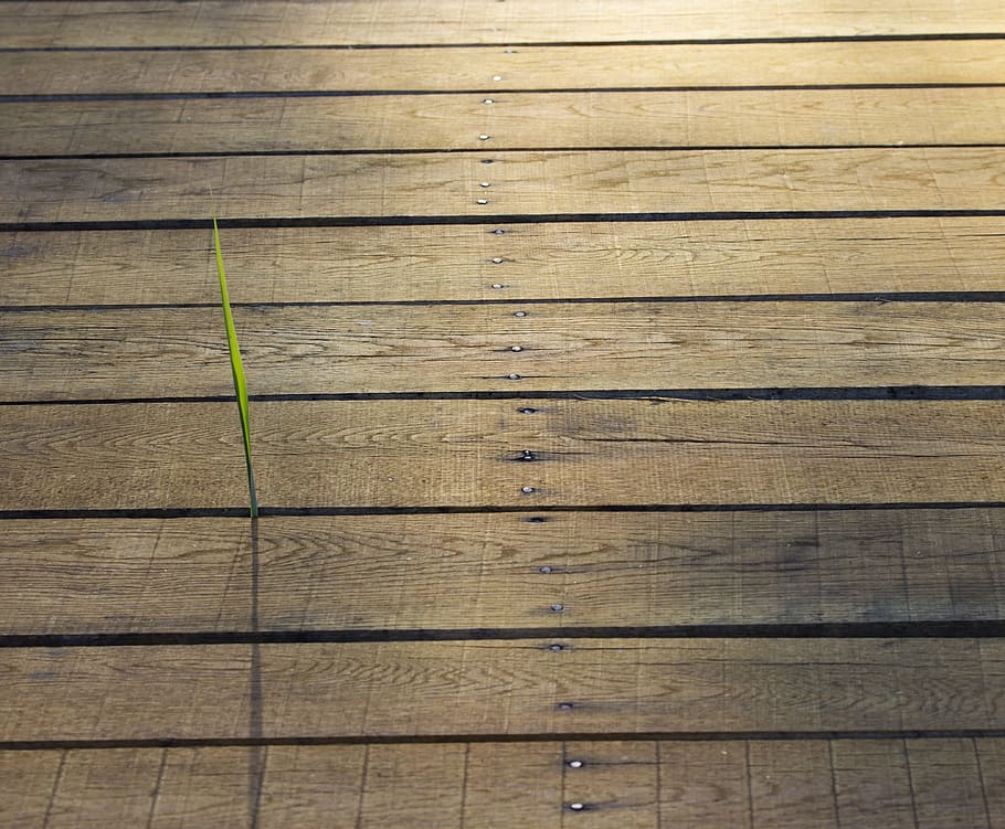 planks, simple, wood, wood - material, backgrounds, pattern HD wallpaper