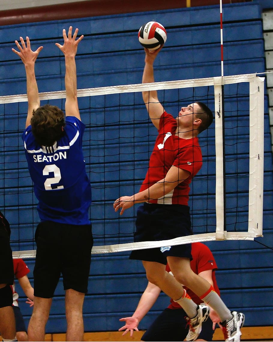 men playing volleyball, High School, Game, competition, team, HD wallpaper