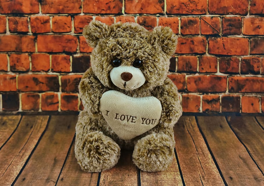 brown bear plush toy with i love you print, teddy, valentine's day, HD wallpaper