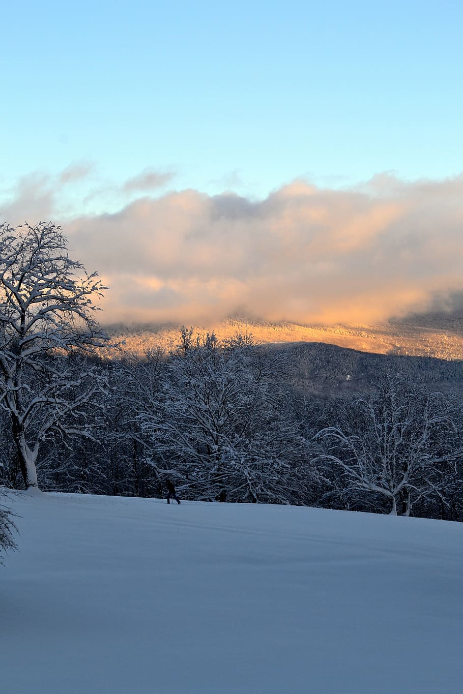 mountain, snow, winter, trees, sunset, landscape, snowshoe HD wallpaper