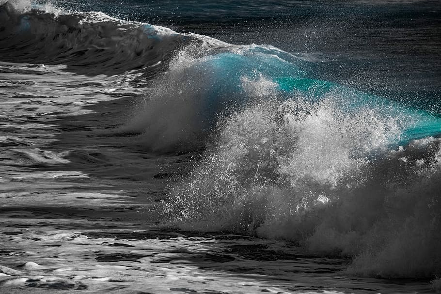 selected-focus of barrel wave, water, surf, ocean, sea, spray HD wallpaper