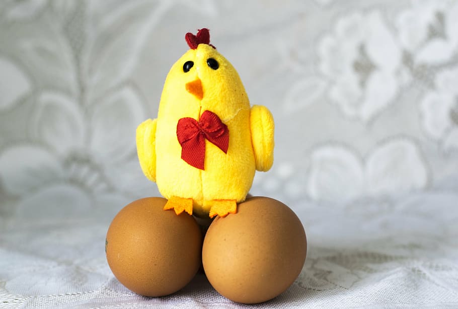 chicken, toy, eggs, easter, holiday, food, food and drink, indoors HD wallpaper