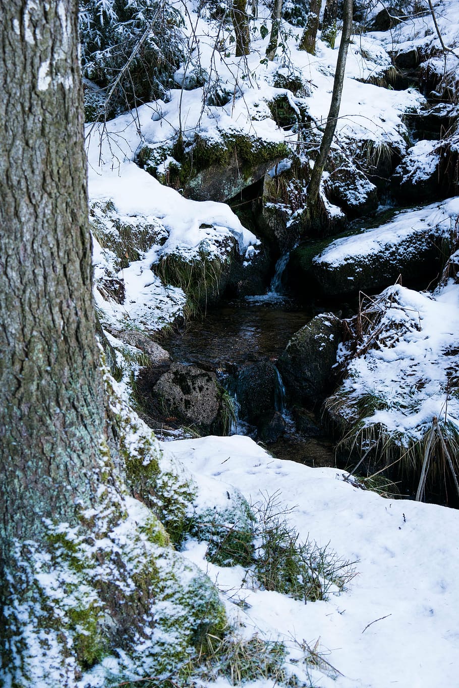 bach, winter, snow, white, wintry, water, water running, cold HD wallpaper