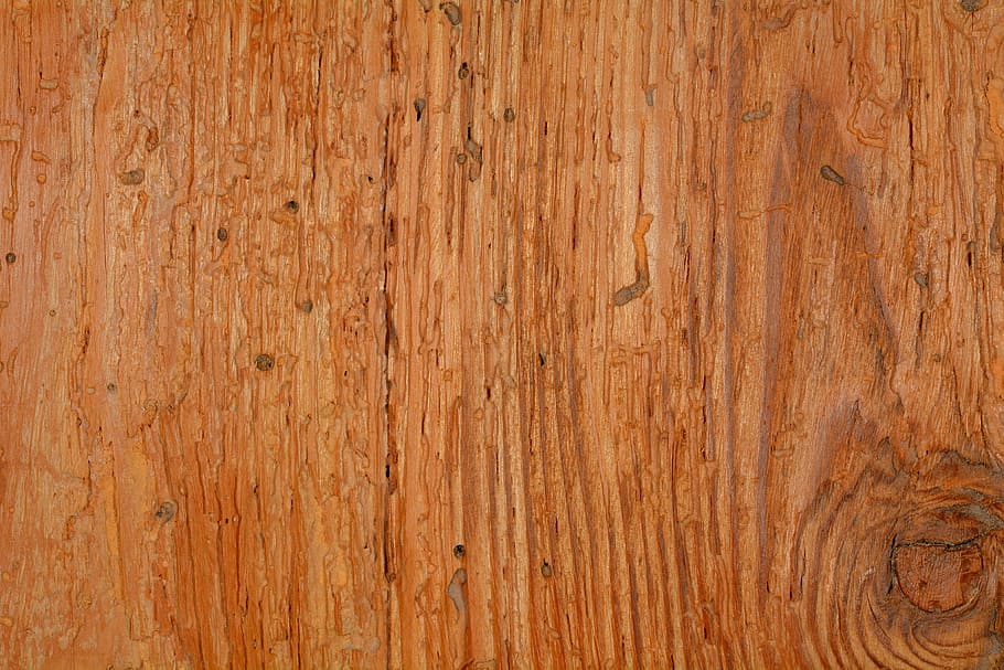 closeup photo of brown wooden board, structure, background HD wallpaper