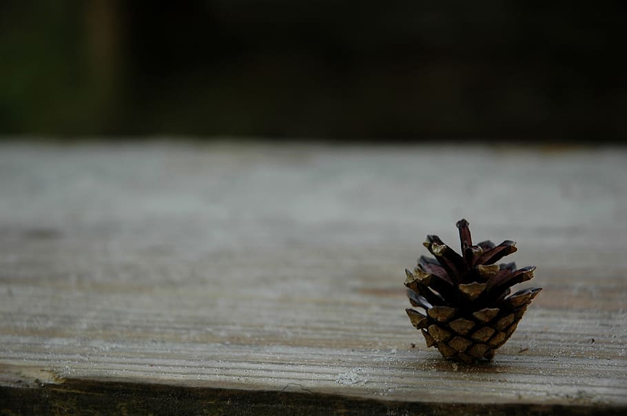 Pinecone, Brown, Nature, Seed, Natural, macro, staircase, texture HD wallpaper