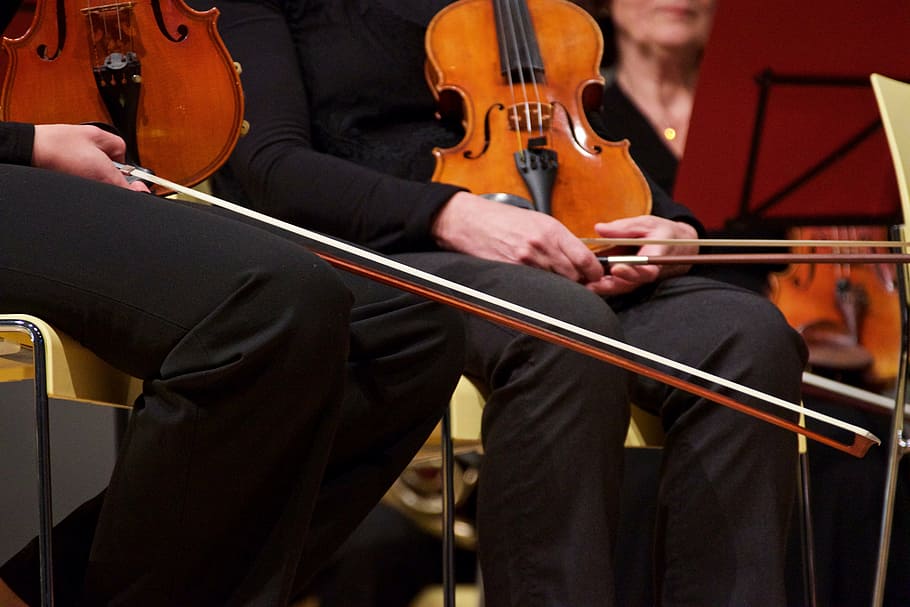 two person using violins, string, close up, musical instrument HD wallpaper