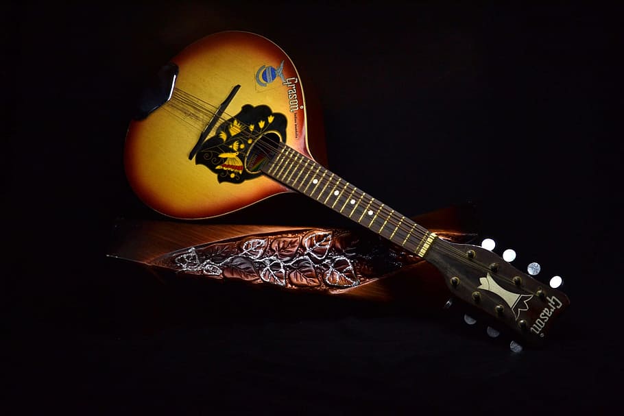 Mandolin Photos Download The BEST Free Mandolin Stock Photos  HD Images