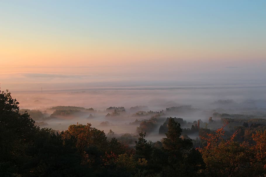 morning mood autumn morning, morning mist, fog, landscape, sunrise, HD wallpaper