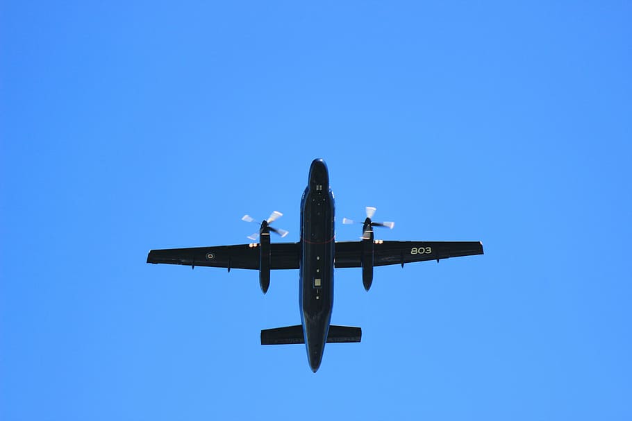 airplane, propeller, fly, travel, sky, blue, journey, aviation HD wallpaper