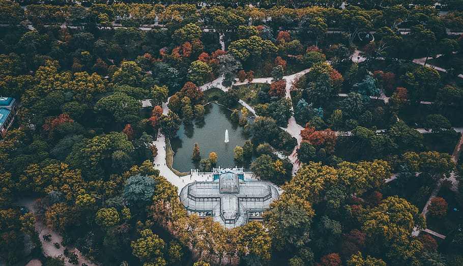 aerial view of white building surround trees, aerial view of fountain and lake between trees at daytime, HD wallpaper
