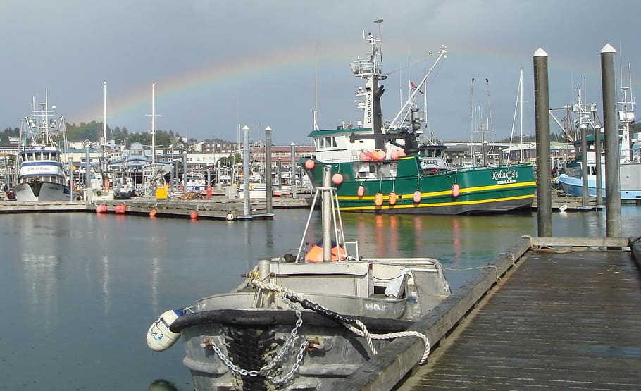 Kodiak, Alaska, Harbor, Bay, Water, reflections, scenic, boats, HD wallpaper