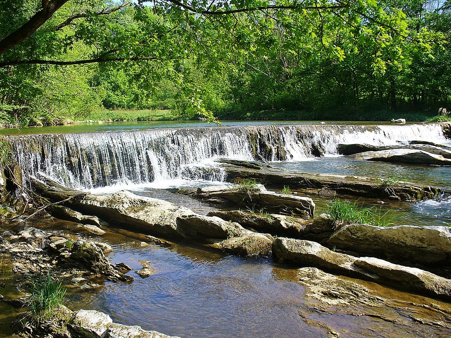 bieszczady, forest, river, tree, summer, water, the stones HD wallpaper
