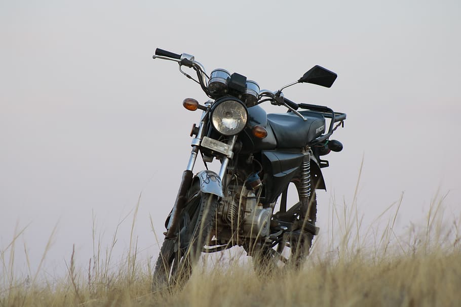 motorcycle, technique, headlights, transportation, grass, mode of transportation HD wallpaper