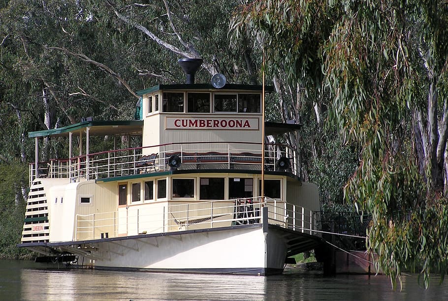 river, paddle, steamer, water, tree, plant, built structure HD wallpaper