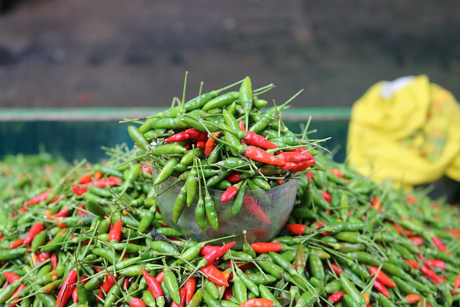 pepper, fair, vegetables, green color, food, food and drink HD wallpaper