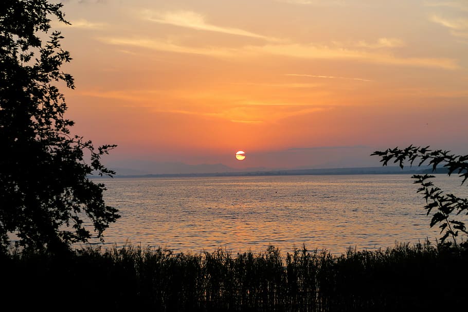 landscape photography of sea, sunset, grass, tree, plant, nature HD wallpaper