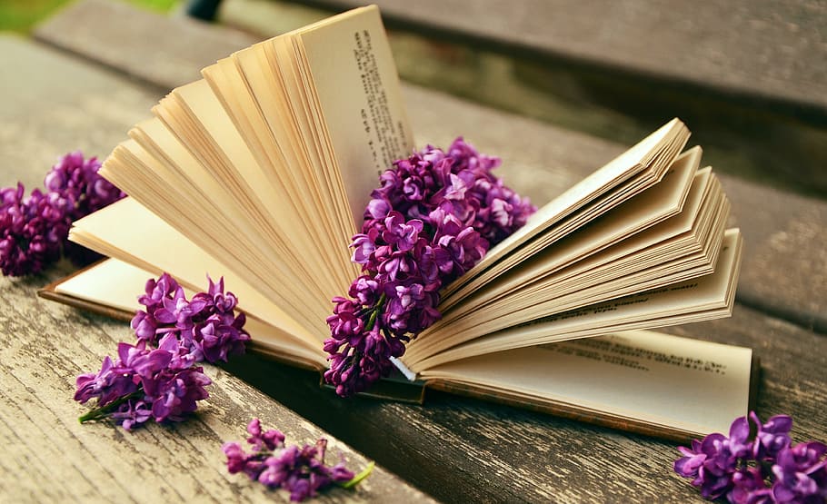photo of purple petaled flowers on opened book page, read, relax HD wallpaper