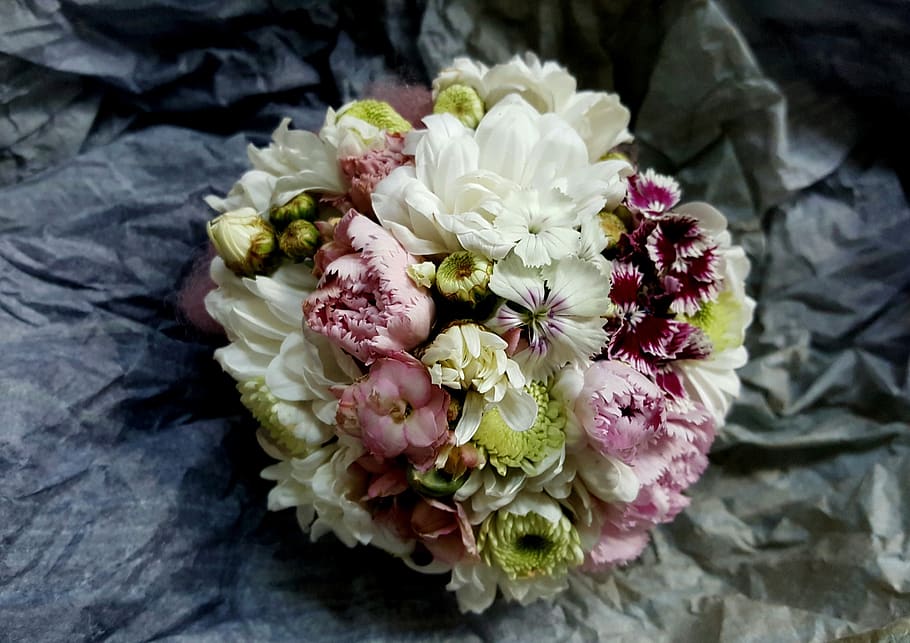flower, summer, fragrant, pink, green, white, flowering plant, HD wallpaper