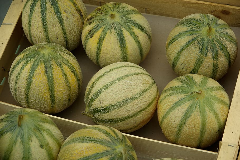 fruit, market, melons, food and drink, healthy eating, freshness HD wallpaper